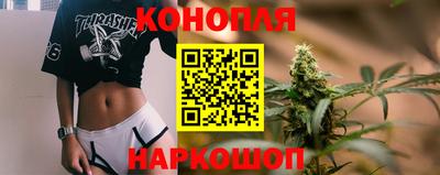 сатива Ирбит