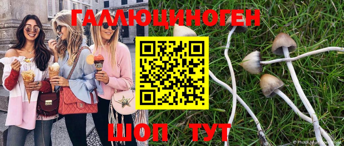 Псилоцибиновые грибы мухоморы Миллерово